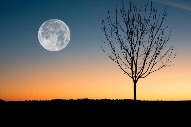 full moon in sky during sunset with one tree on horizon