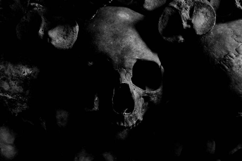 close up of dark skull