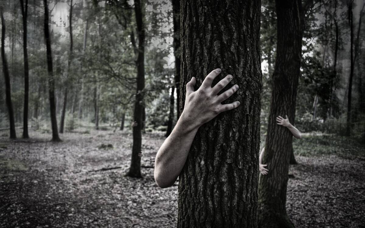 Ghostly hands reaching around a tree, no body in sight.