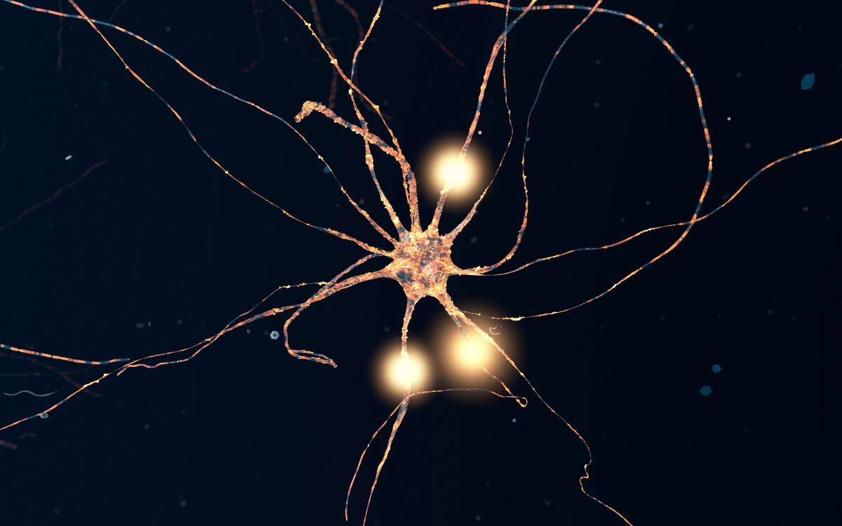 A closeup of a brain neuron firing.