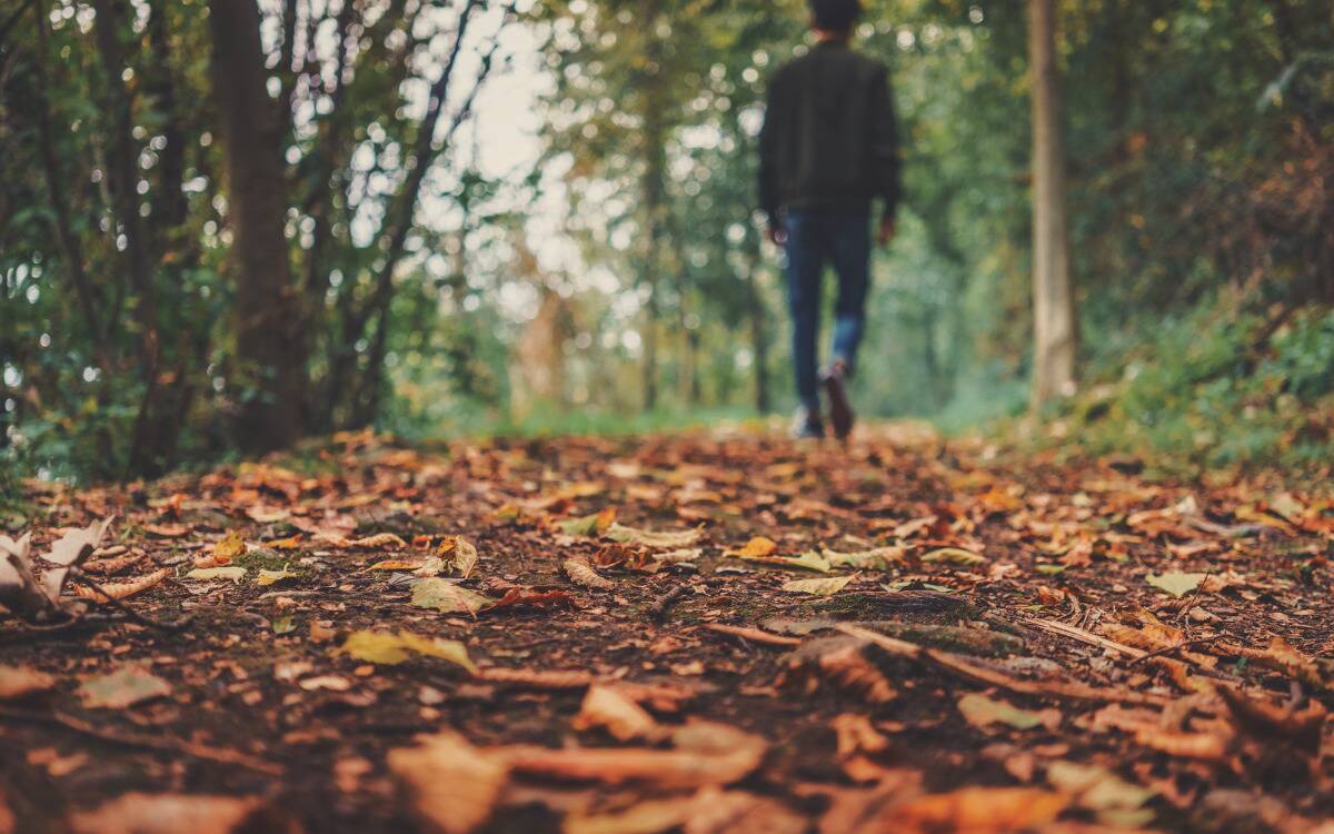 Someone walking through a forest, the image focused on the leaf-covered forest floor.