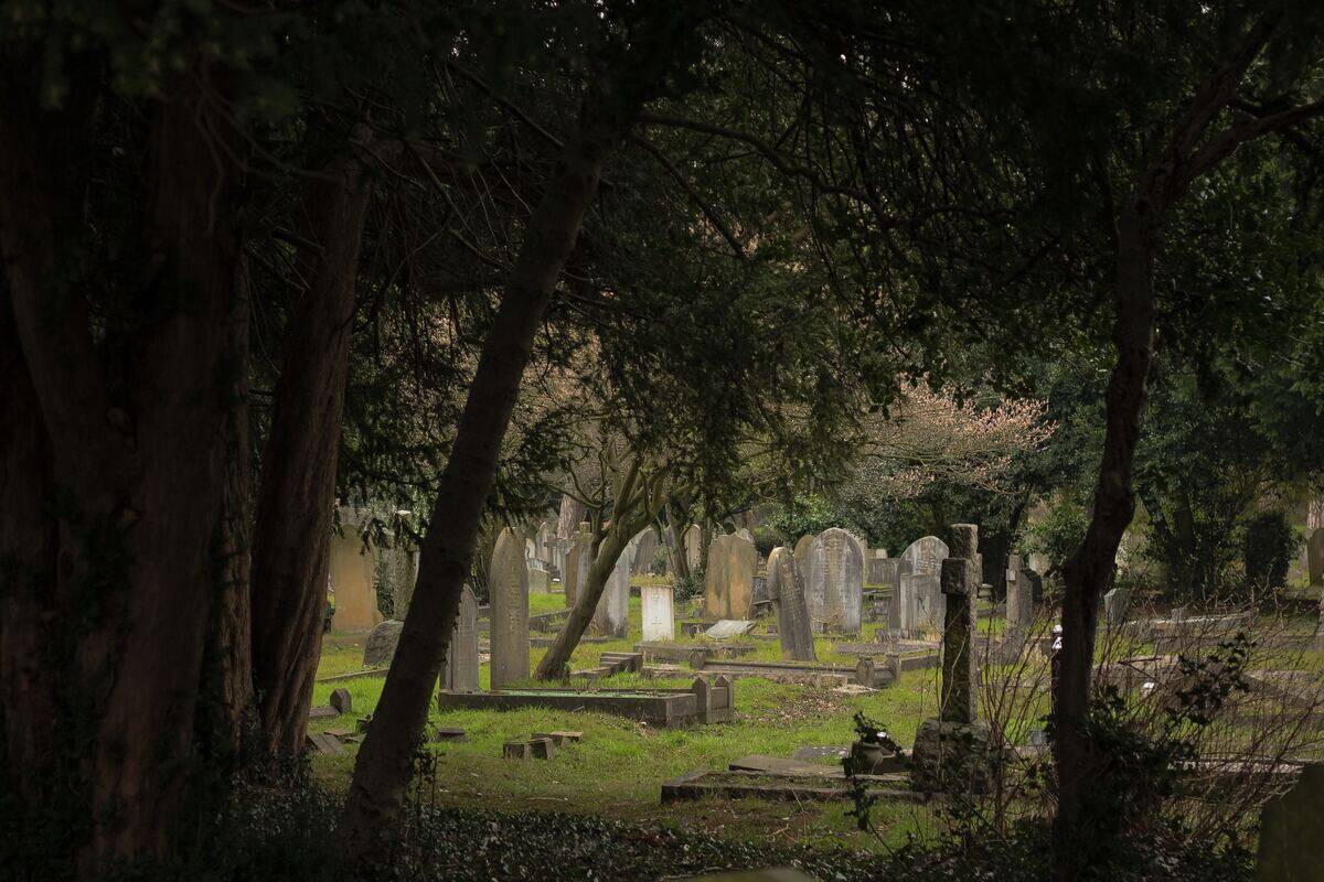 A cemetery as seen through a dark tree line.