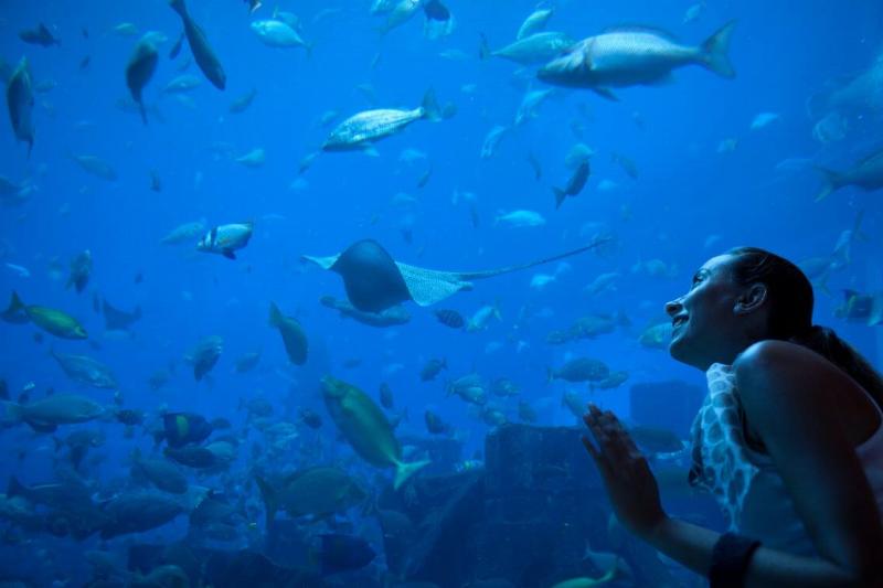 A woman standing in front of a large aquarium tank, looking up in wonder.