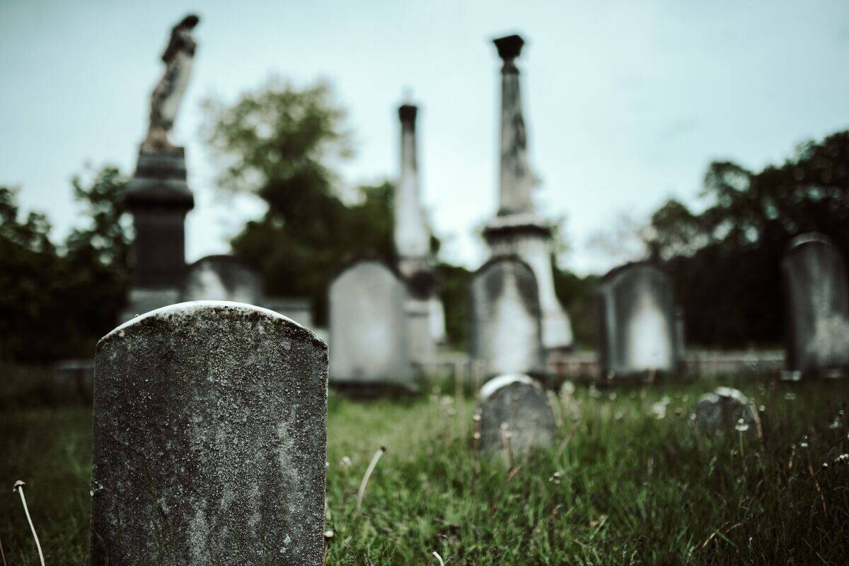 A low shot of a mossy cemetery.