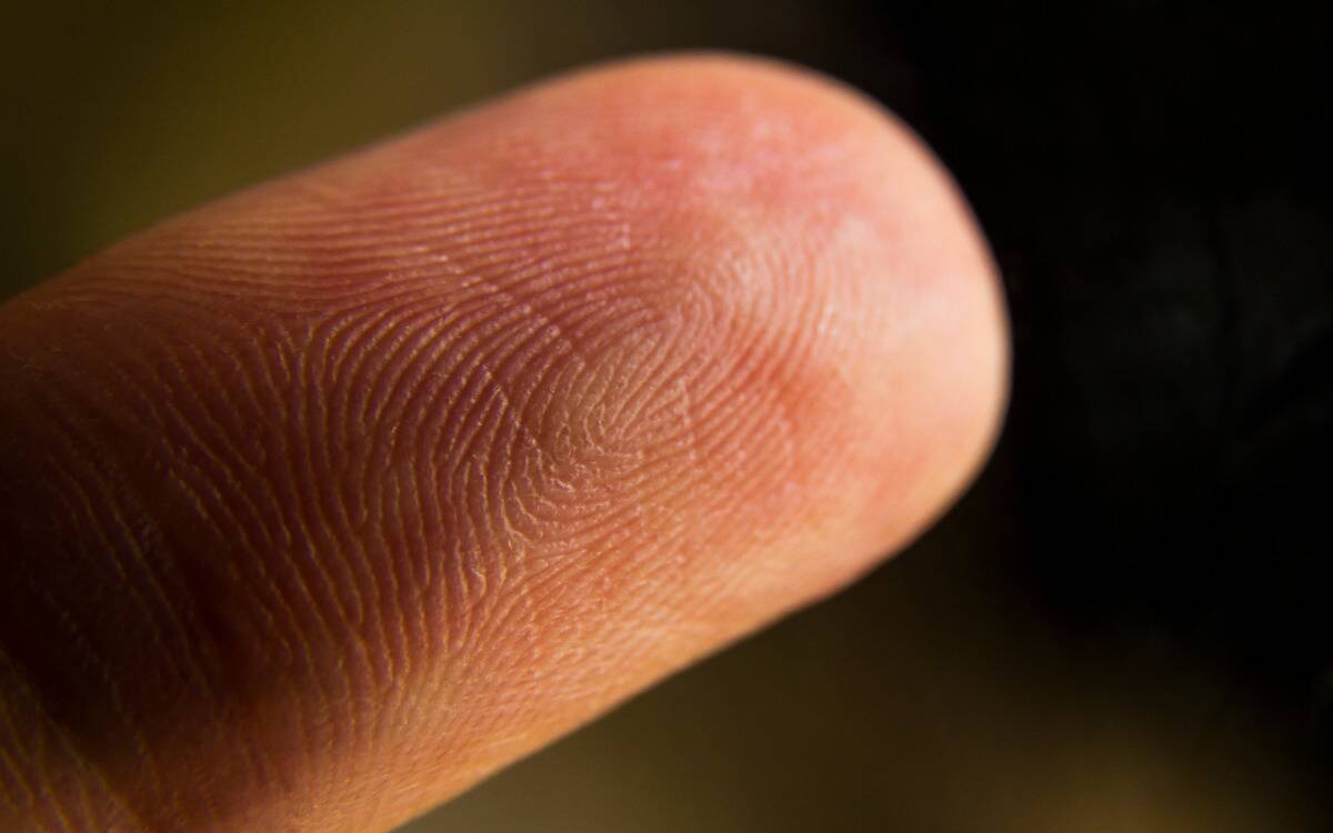 A closeup on someone's fingertip, showing their fingerprint.