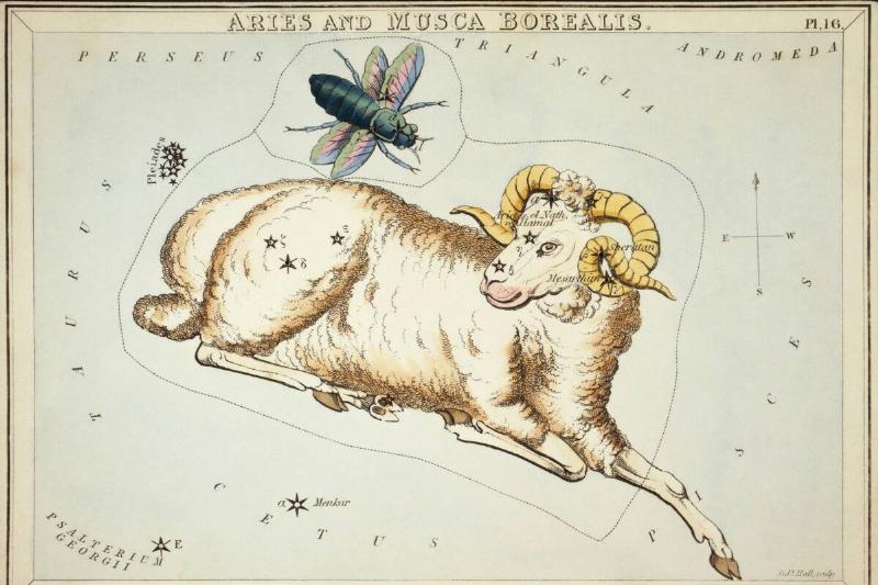 Aries and Musca Borealis astronomical star chart card