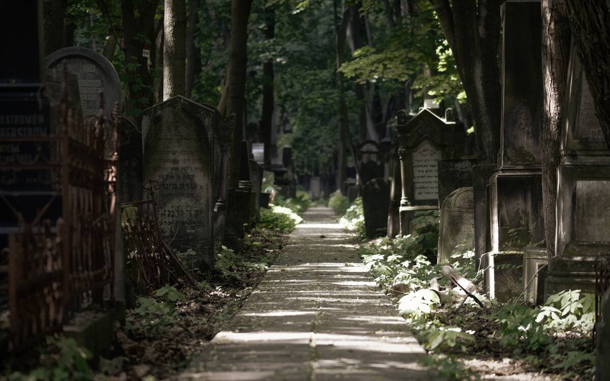 A paved path between rows of headstones.