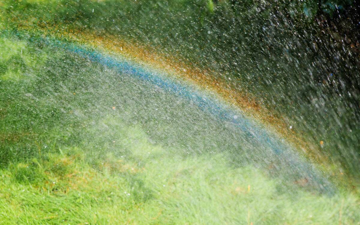 A rainbow shining through rain falling in the sun.