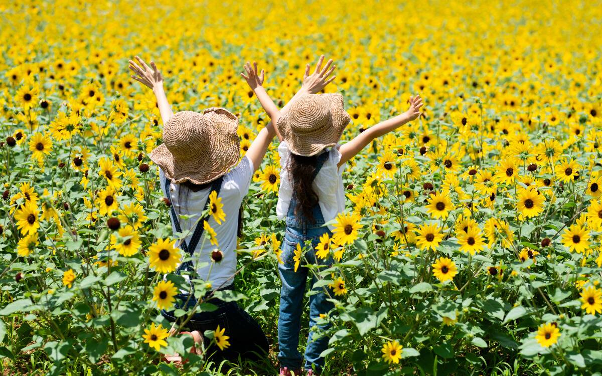 A mother and daughter in matching outfits both ina  field of yellow flowers, extending their arms out.