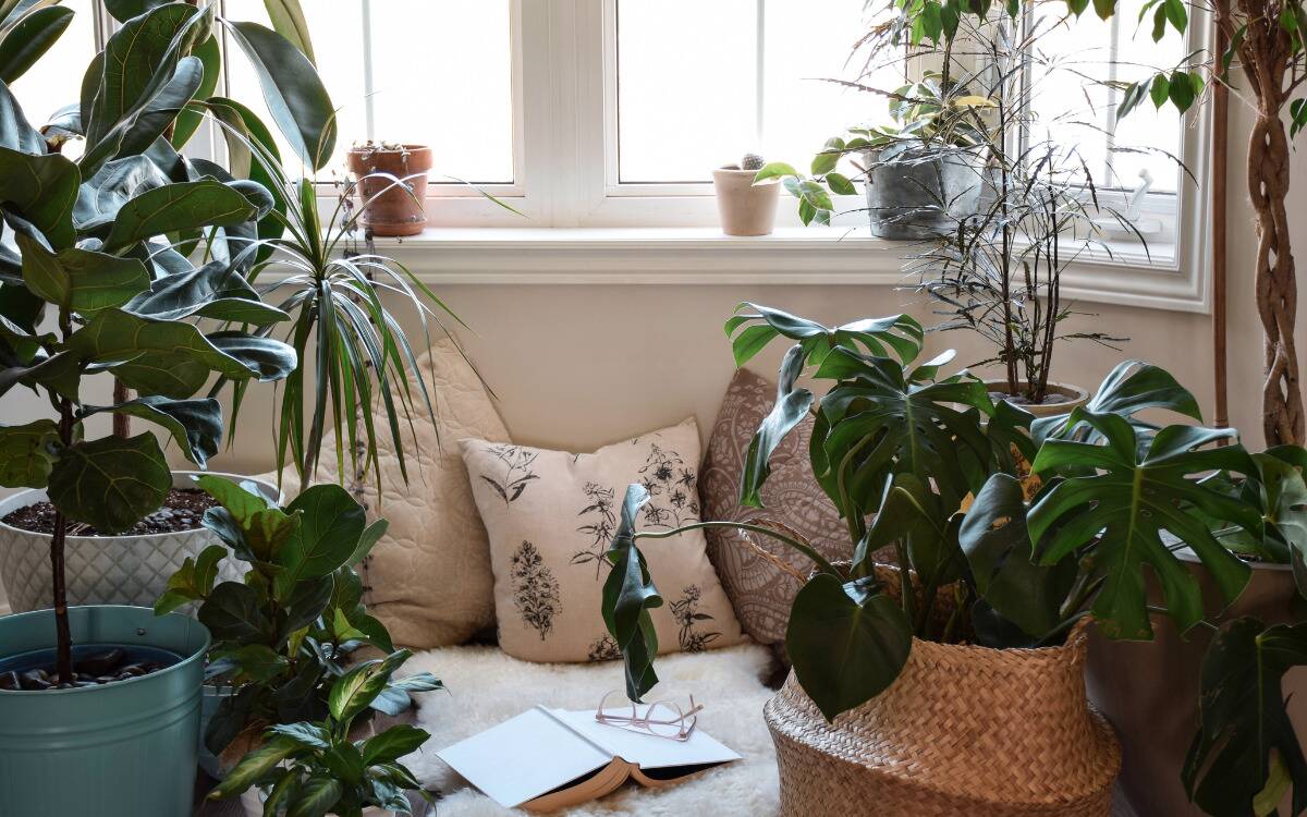 A reading nook on a floor under a window surrounded by plants.