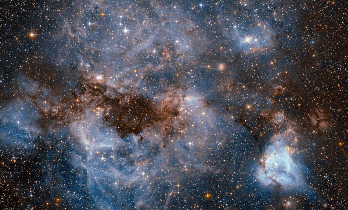 This shot from the NASA/ESA Hubble Space Telescope shows a maelstrom of glowing gas and dark dust within one of the Milky Way's satellite galaxies, the Large Magellanic Cloud (LMC).