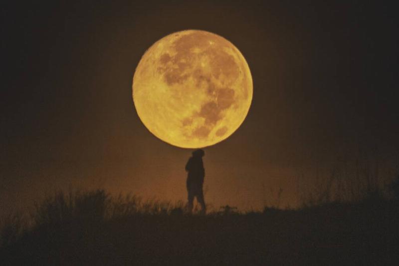 A large yellow moon in the sky, the silhouette of someone standing below it.