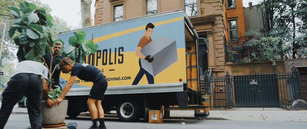 Three movers moving a large plant out of a moving truck.