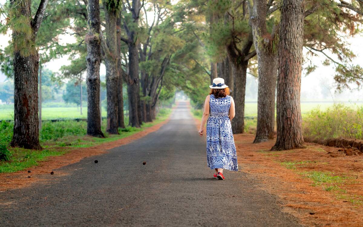 A woman in a blue and white dress walking along a paved path with large trees on either side.