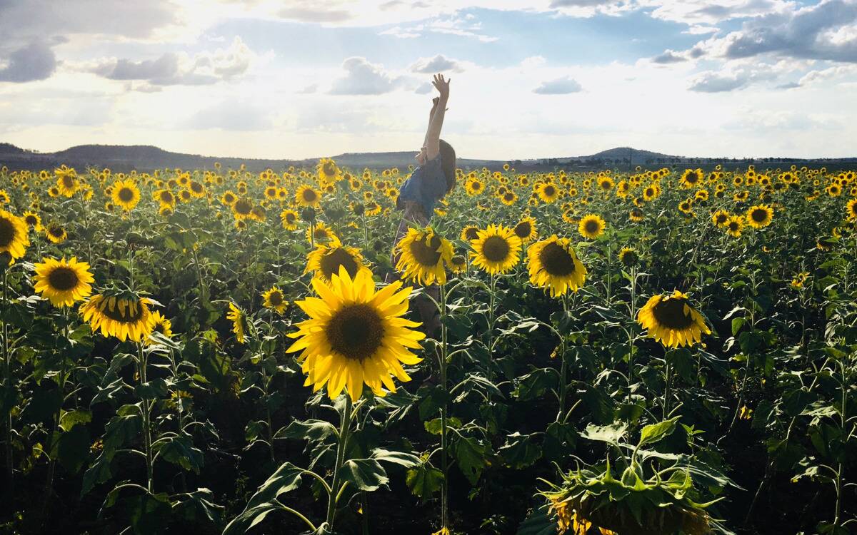 A woman standing in a field of sunflowers, arms outstretched above.