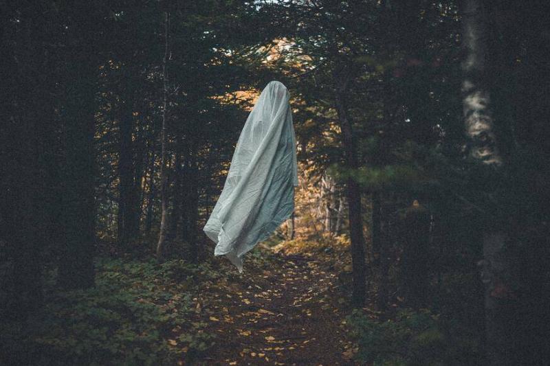 A floating sheet in a forest in the shape of a ghost.