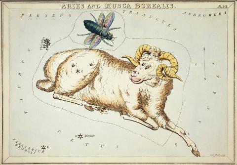 Aries and Musca Borealis astronomical star chart card