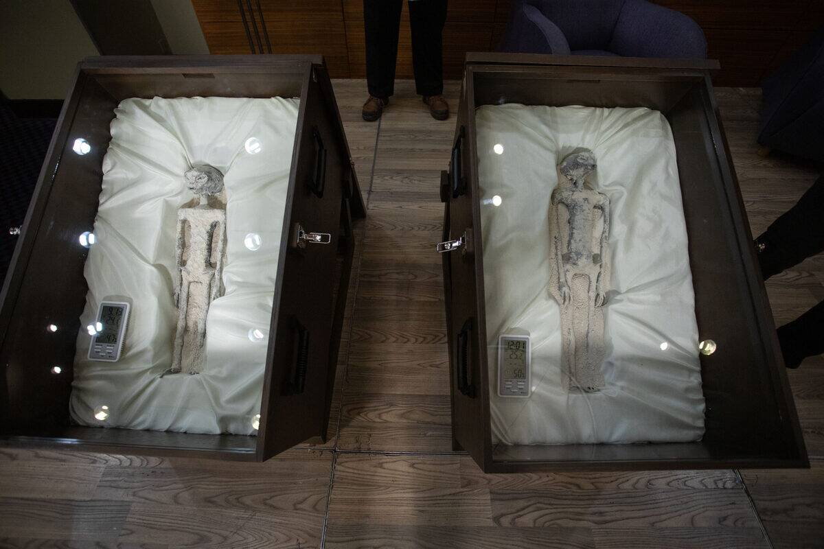 Aerial view of two small alien corpses in open-faced caskets.