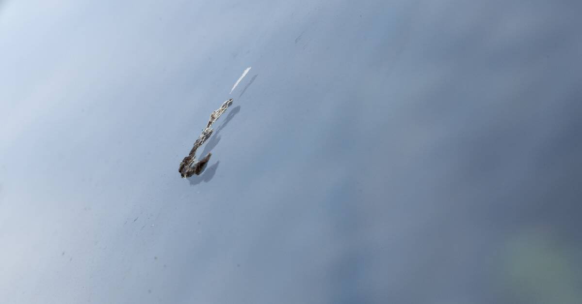 Bird poop on a smooth surface.