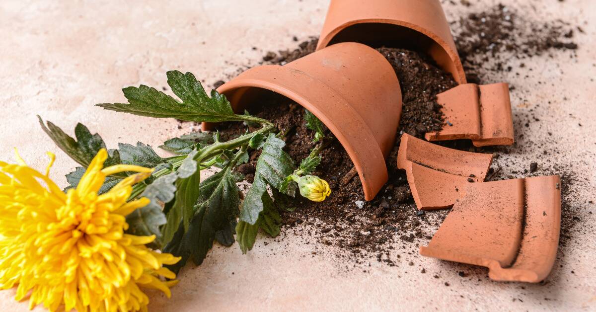 A flowerpot that has been dropped on the floor, shattering and spilling dirt everywhere.