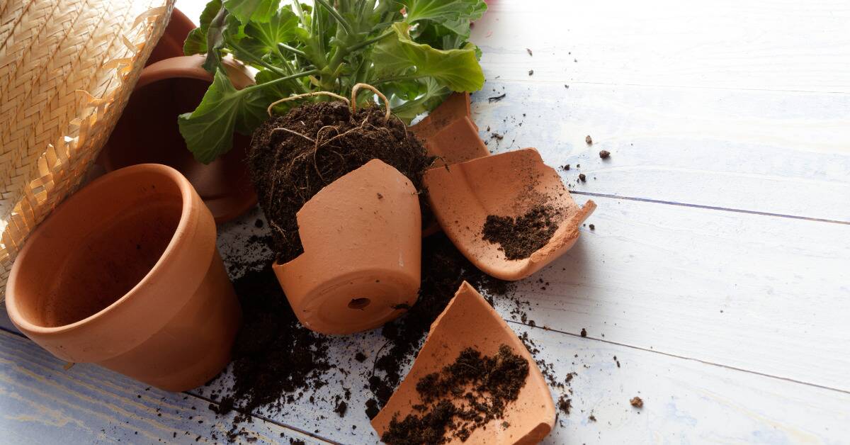 A shattered flowerpot on the ground, spilling dirt everywhere.