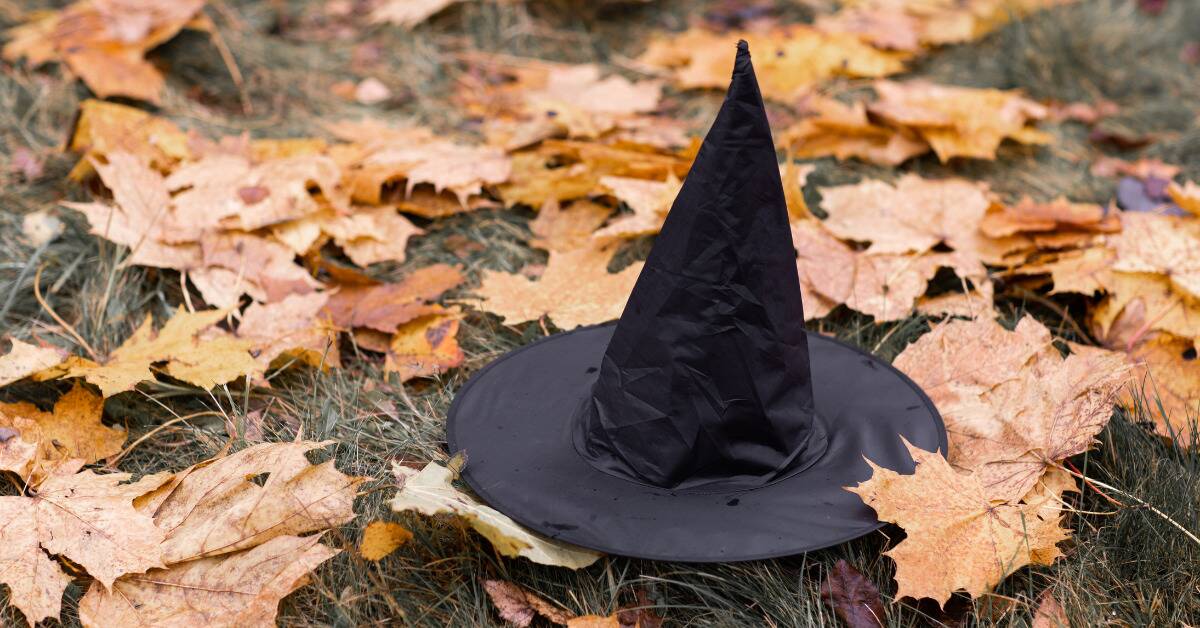 A witch hat on the ground among fallen, dead leaves.
