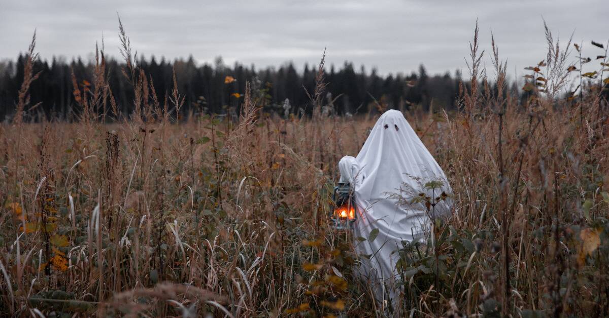 Someone in a ghost costume holding a lantern walking through a field of tall grass.