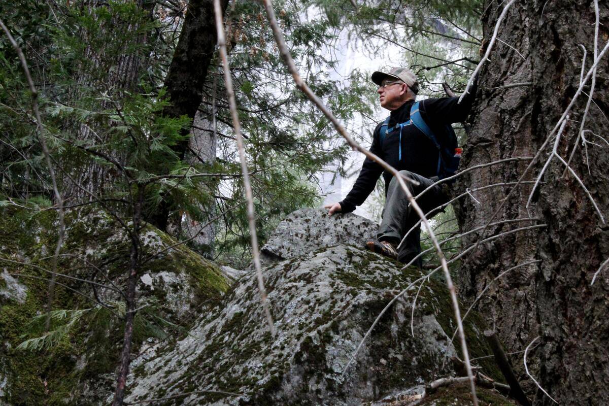 An older man hiking along a forest trail.