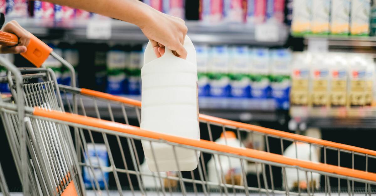Someone putting a jug of milk in a shopping cart.