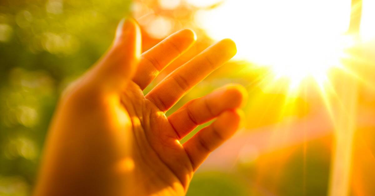 A hand reaching out toward sunlight.