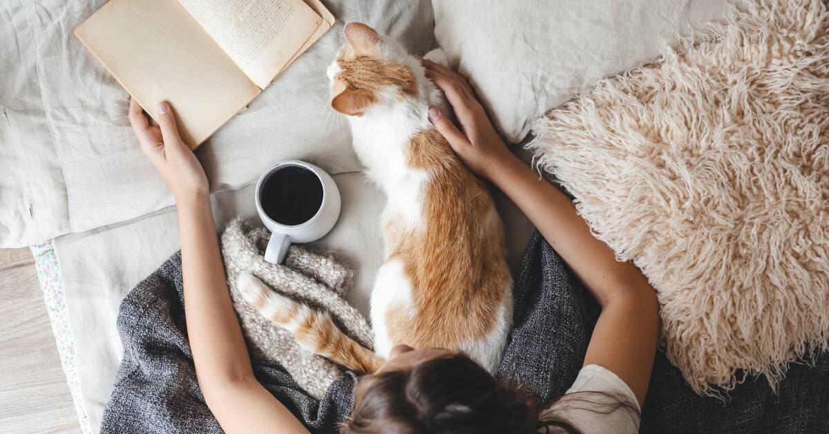 An above shot of a woman reading in bed, a mug of coffee and a cat also with her.