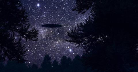 A night-sky fill of stars as seen through some trees, a silhouette of a saucer UFO visible.