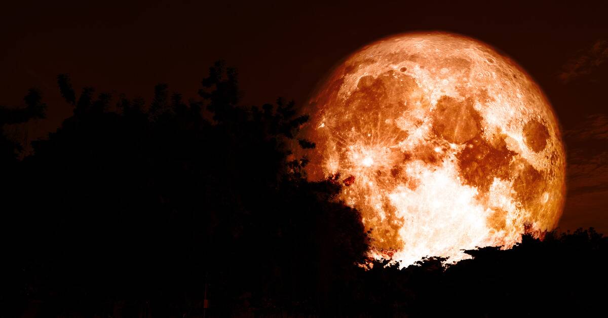 A large orange tinted moon, silhouettes of trees in the foreground.