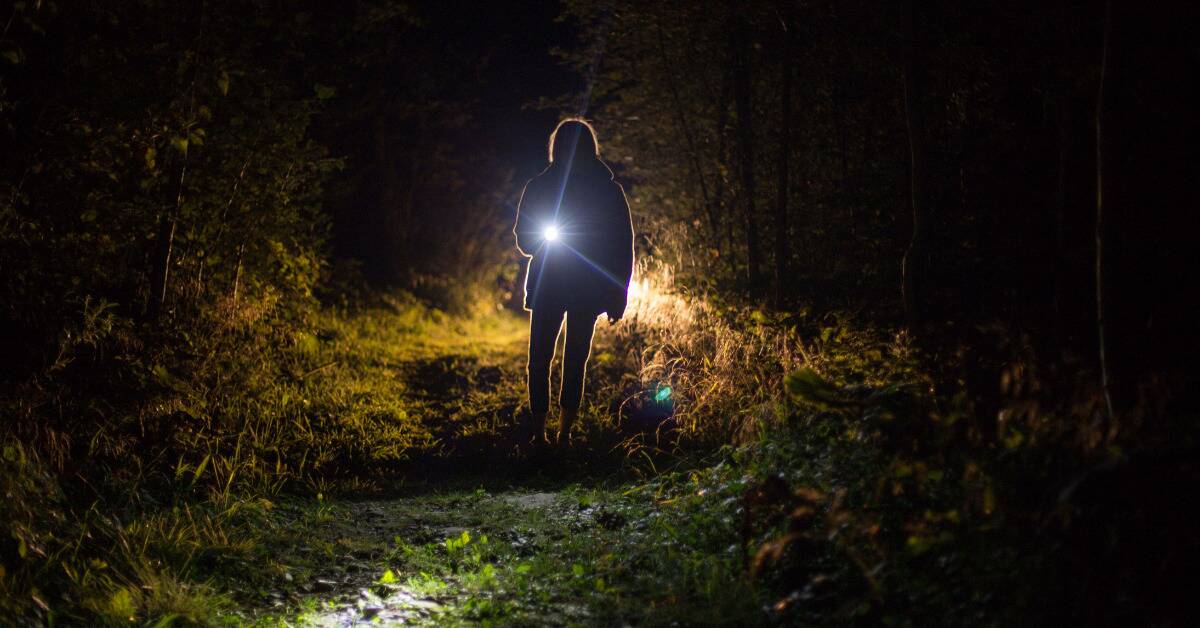 The silhouette of someone shining a flashlight toward the camera as they stand on a grassy path.
