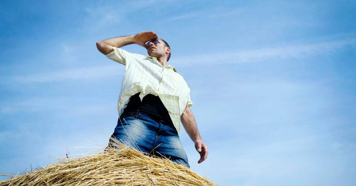 A low-angle shot of a man standing on a haybale, hand to their browbone like they're looking into the horizon.