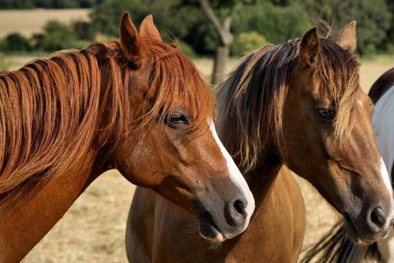 MSN Syn - 2023-11-27T113530.466