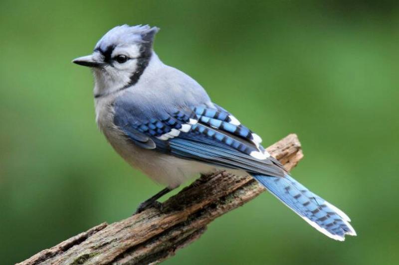 MSN Syn - 2023-11-27T113620.355