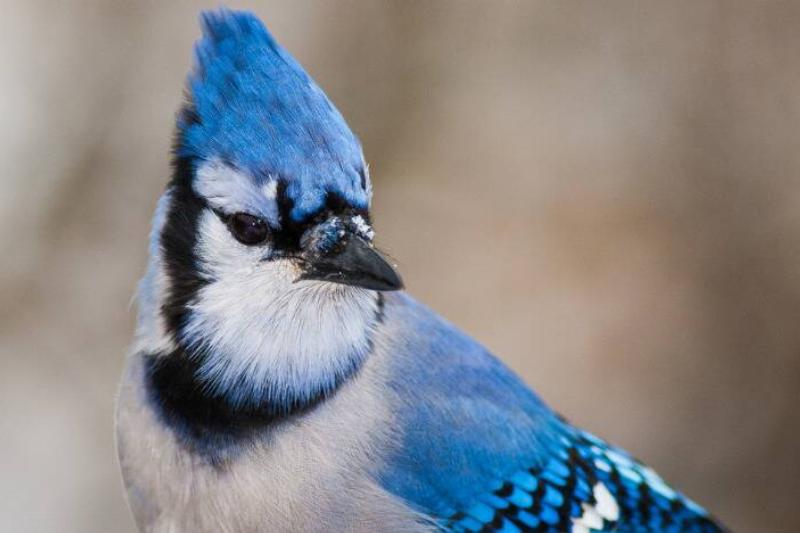 MSN Syn - 2023-11-27T113652.109