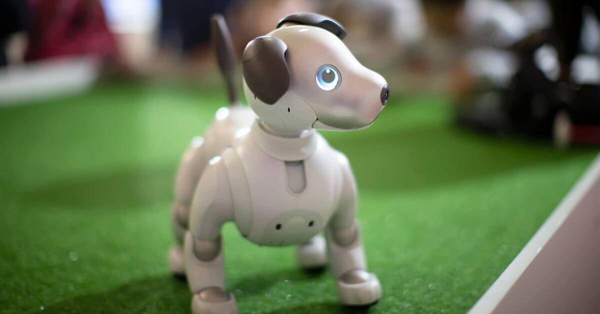 A robotic dog toy.