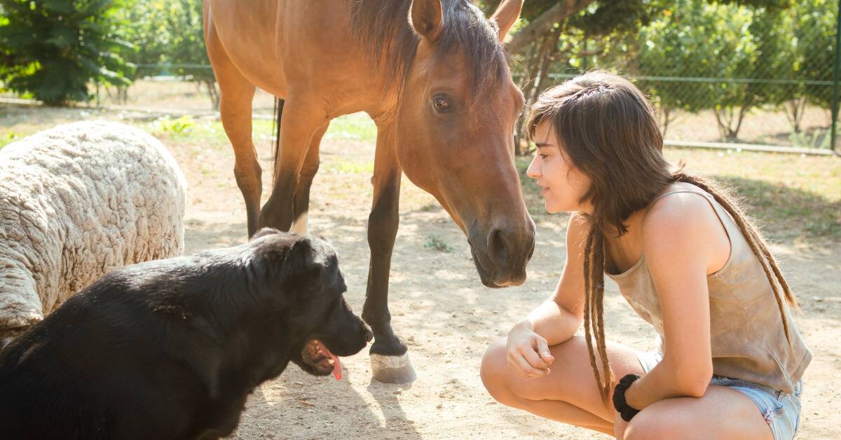 A woman crouched on the ground before a horse, a sheep, and a dog.