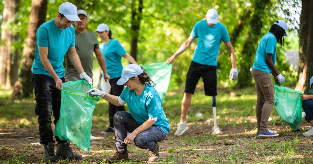 People volunteering to clean up garbage in a forest.