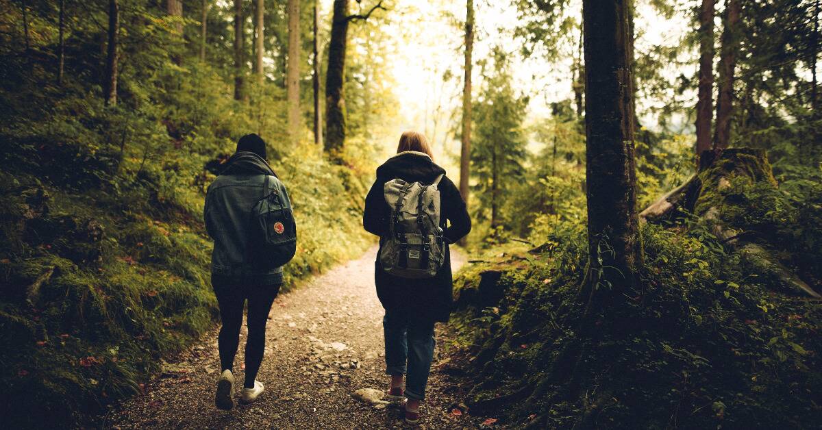 Two friends walking through a path in the forrest.