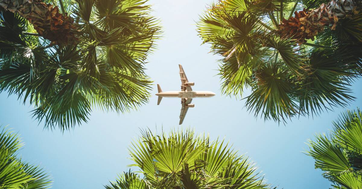 A plane flying overhead, as seen through some trees.