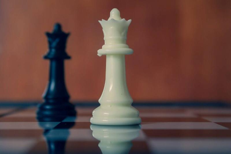 Two chess pieces on a chess board, a black king and a white king.