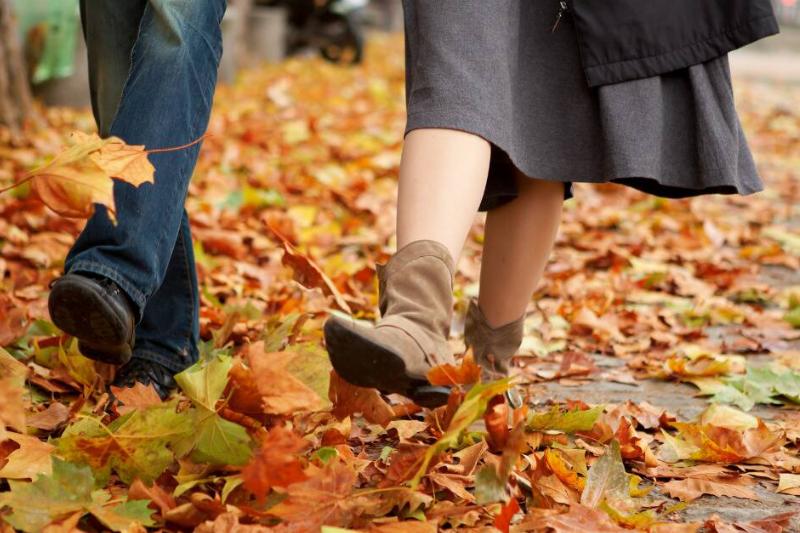 A close shot of a couple's legs as they walk through a road covered in fallen autumn leaves.