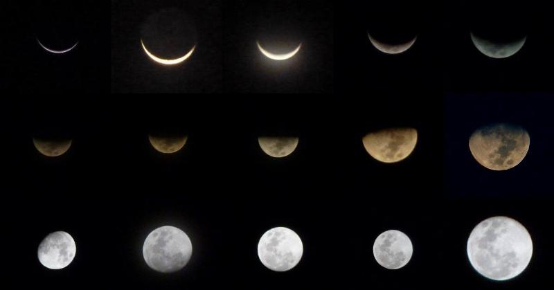 A photo of every moon phase laid out in rows and collemns.