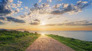 A walkway with green grass on either side with the sun perfectly in center view.