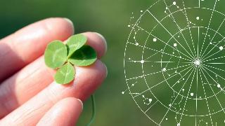 On the left side is a close shot of someone holding a four-leaf clover between their fingers. On the right is a wheel with the astrological constellations seen in it.