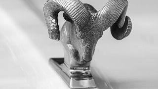 pexels-jean-marc-bonnel-19202930