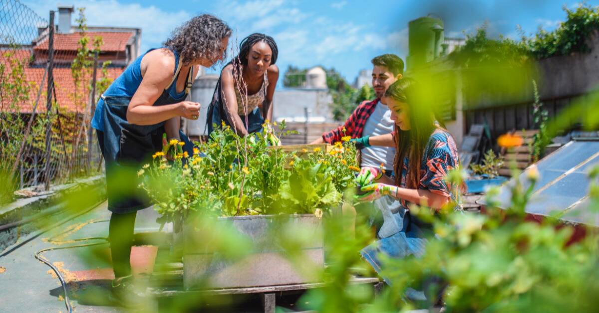 A group of people participating in a community garden initiative.
